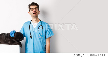 Sad male doctor filling pity for cute black dog pug lying sick on vet clinic table, veterinarian crying and petting puppy, white background 100621411