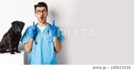 Handsome young doctor at vet clinic pointing fingers up and looking amazed, standing near cute black pug dog, white background 100622036