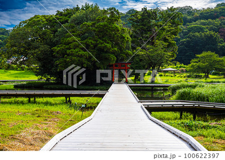 厳島湿生公園 100622397