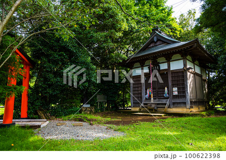 厳島湿生公園 100622398