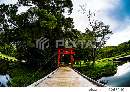 厳島湿生公園 100622404