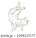 The tabby cat lies on its back, wriggling to show its belly. 100622577