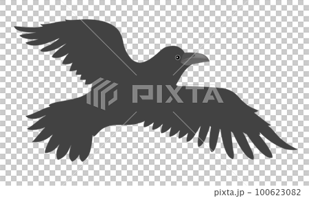 Crow  100623082