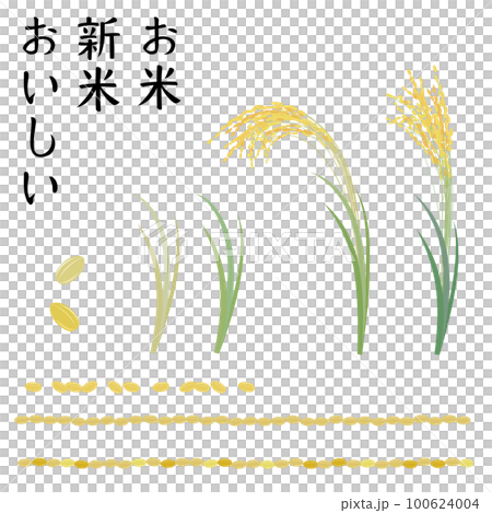 稻穗圖標矢量插圖集，稻穀格線 100624004