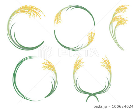 リアルな稲穂のフレームセットのベクターイラスト 100624024