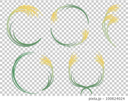 Vector illustration of realistic rice ear frame set Vector illustration of realistic rice ear frame set 100624024