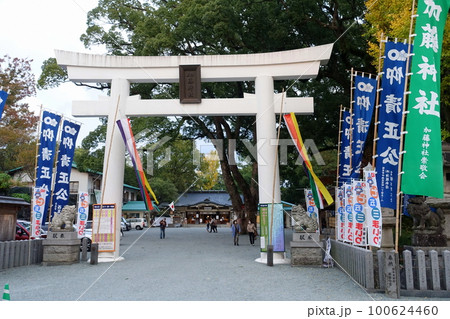加藤神社鳥居 熊本 加藤神社鳥居 熊本 100624460