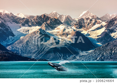 Alaska whale watching boat excursion. Inside passage mountain range landscape luxury travel cruise concept 100624664