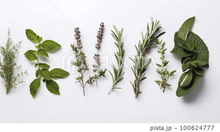 Banner with provence herbs. Copy space, top view, summer background. Generative AI. Banner with provence herbs. Copy space, top view, summer background. Generative AI. 100624777