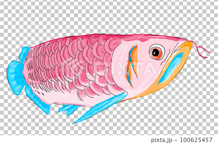 Arowana 100625457