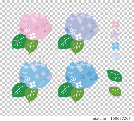 あじさいのイラスト 100627267