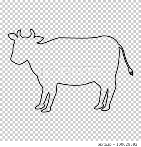 A simple line drawing illustration of a cow. With copy space. A simple line drawing illustration of a cow. With copy space. 100628392
