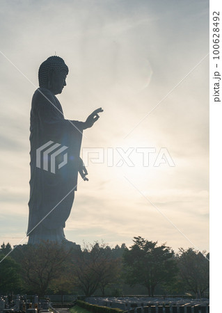 気功を使う牛久大仏 気功を使う牛久大仏 100628492