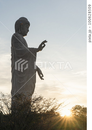 牛久大仏と朝日 牛久大仏と朝日 100628509