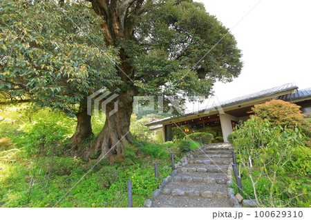 青梅市吉川英治記念館 100629310