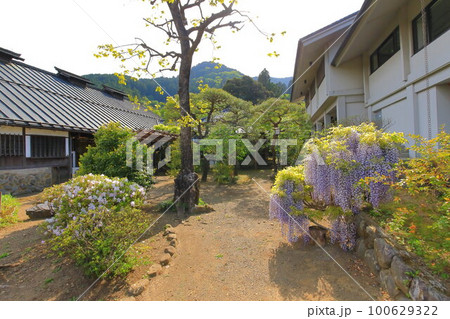 青梅市吉川英治記念館 青梅市吉川英治記念館 100629322