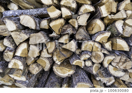 Wood logs for firewood Wood logs for firewood 100630080