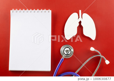 World TB Day. Top view lungs paper symbol, medical stethoscope and notebook paper on red background, lung cancer awareness, copy space concept of world tuberculosis day, banner background World TB Day. Top view lungs paper symbol, medical stethoscope and notebook paper on red background, lung cancer awareness, copy space concept of world tuberculosis day, banner background 100630877