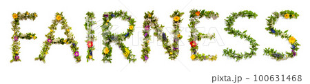 Colorful Blooming Flower Letters Building Word Fairness 100631468