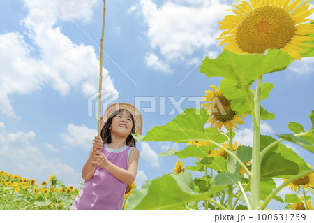 ひまわり畑で遊ぶ女の子 100631759