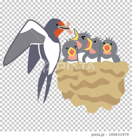 Illustration of a swallow feeding a chick 100631979
