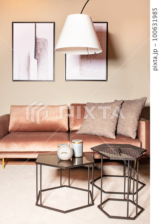 The interior of a modern living room in beige and brown colors with original loft-style household items and abstract paintings on the wall. 100631985