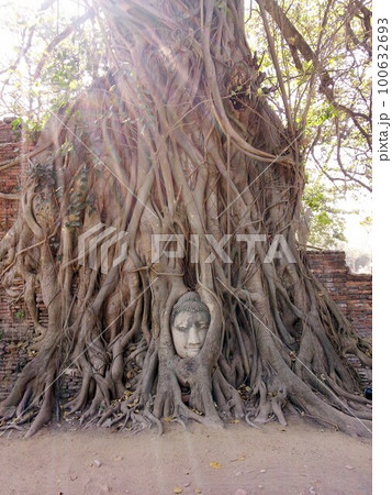 タイ_アユタヤ44 100632693