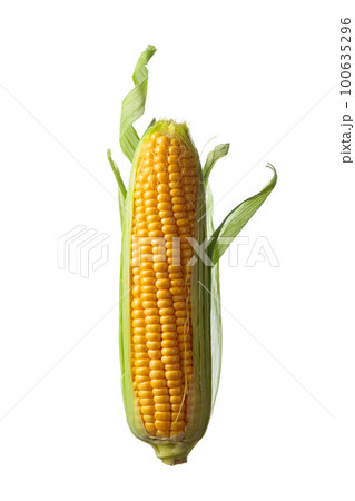 Corn on cobs isolated on a white background. 100635296