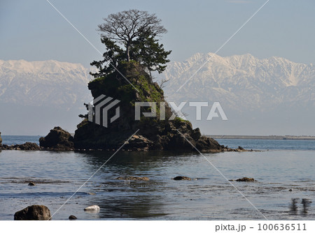 雨晴海岸 100636511