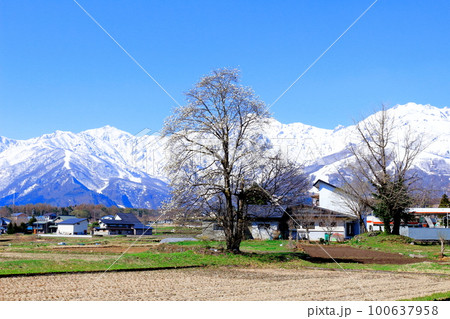 4月の白馬村 麗しき北アルプス 白馬村と冠雪の北アルプス 4月の白馬村 麗しき北アルプス 白馬村と冠雪の北アルプス 100637958