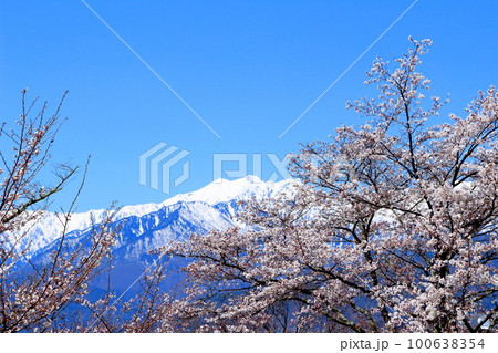 積雪の北アルプス　      4月の信濃大町　　麗しき北アルプス　　春の北アルプス 100638354
