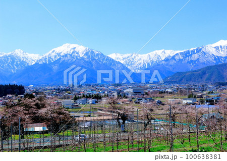 積雪の北アルプス　      4月の信濃大町　　麗しき北アルプス　　春の北アルプス 100638381