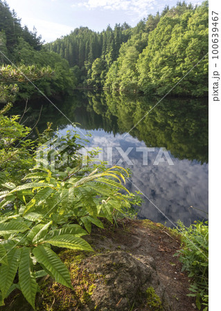 220628ダム湖s132 220628ダム湖s132 100639467