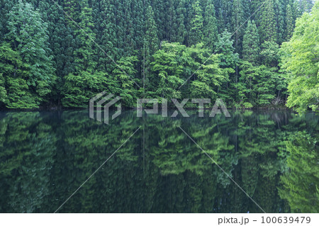 220628ダム湖z008 100639479