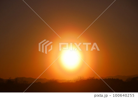 宇都宮市　花粉光環 100640255