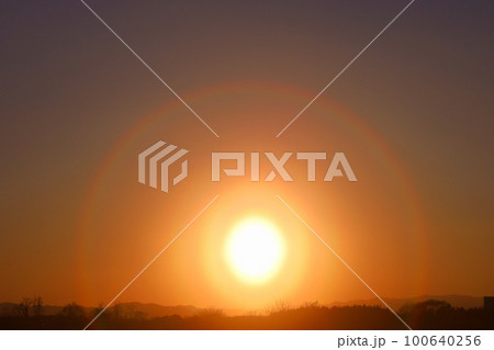 宇都宮市　花粉光環 100640256