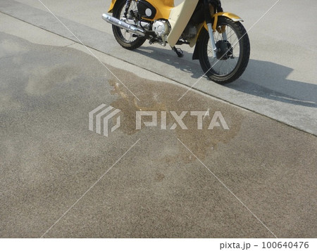 カブで海辺へ 100640476