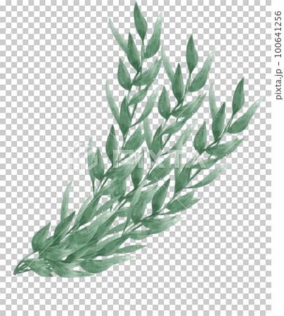 watercolour green leaf foliage wreath frame...のイラスト素材 [100641256] - PIXTA