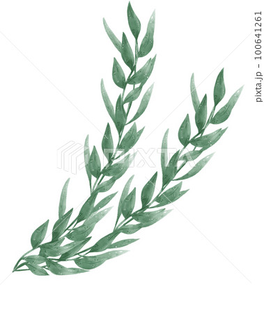 watercolour green leaf foliage wreath frame...のイラスト素材 [100641261] - PIXTA