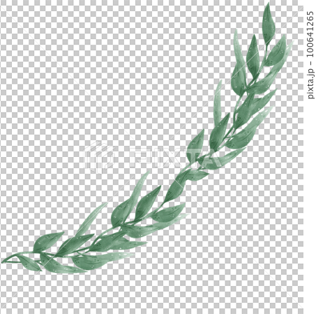 watercolour green leaf foliage wreath frame... - Stock Illustration ...