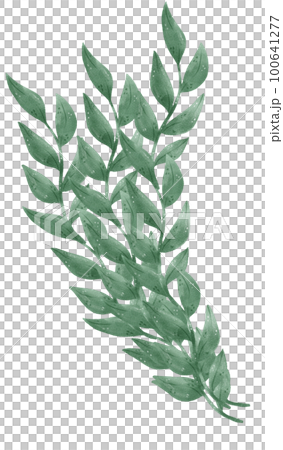 watercolour green leaf foliage wreath frame hand drawn illustration 100641277