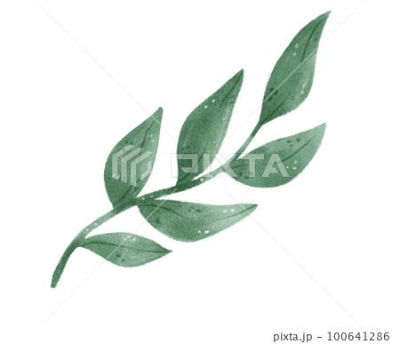 watercolour green leaf foliage wreath frame...のイラスト素材 [100641286] - PIXTA