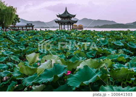 Hangzhou, China - August 2, 2017 beautiful the west lake scenery 100641503