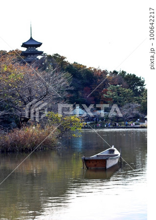 紅葉シーズンの横浜三渓園 100642217