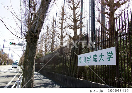 青山学院大学相模原キャンパス 青山学院大学相模原キャンパス 100643416