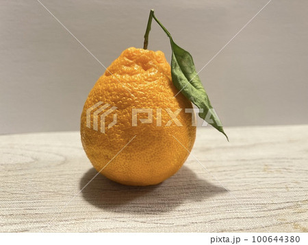 美味しそうなデコポン、不知火 100644380