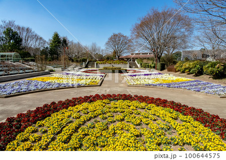 埼玉県狭山市柏原智光山公園の狭山市立都市緑化植物園 埼玉県狭山市柏原智光山公園の狭山市立都市緑化植物園 100644575