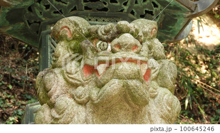 凛々しい狛犬の顔 100645246