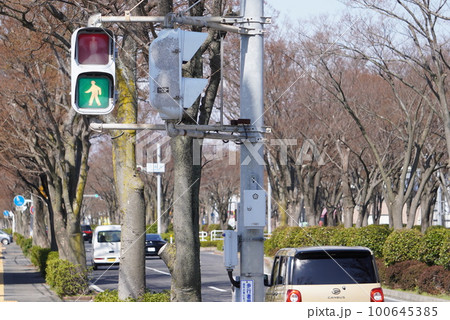 信号機 歩行者用信号 道路 交通 歩行者 100645385