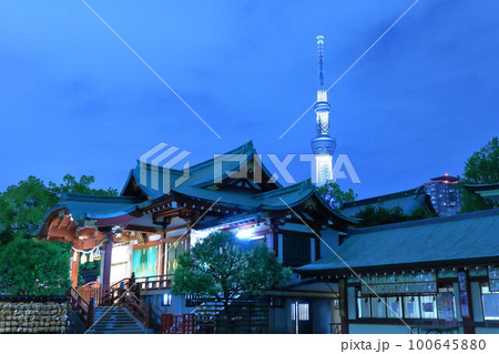 亀戸天神　藤の花とスカイツリー 100645880